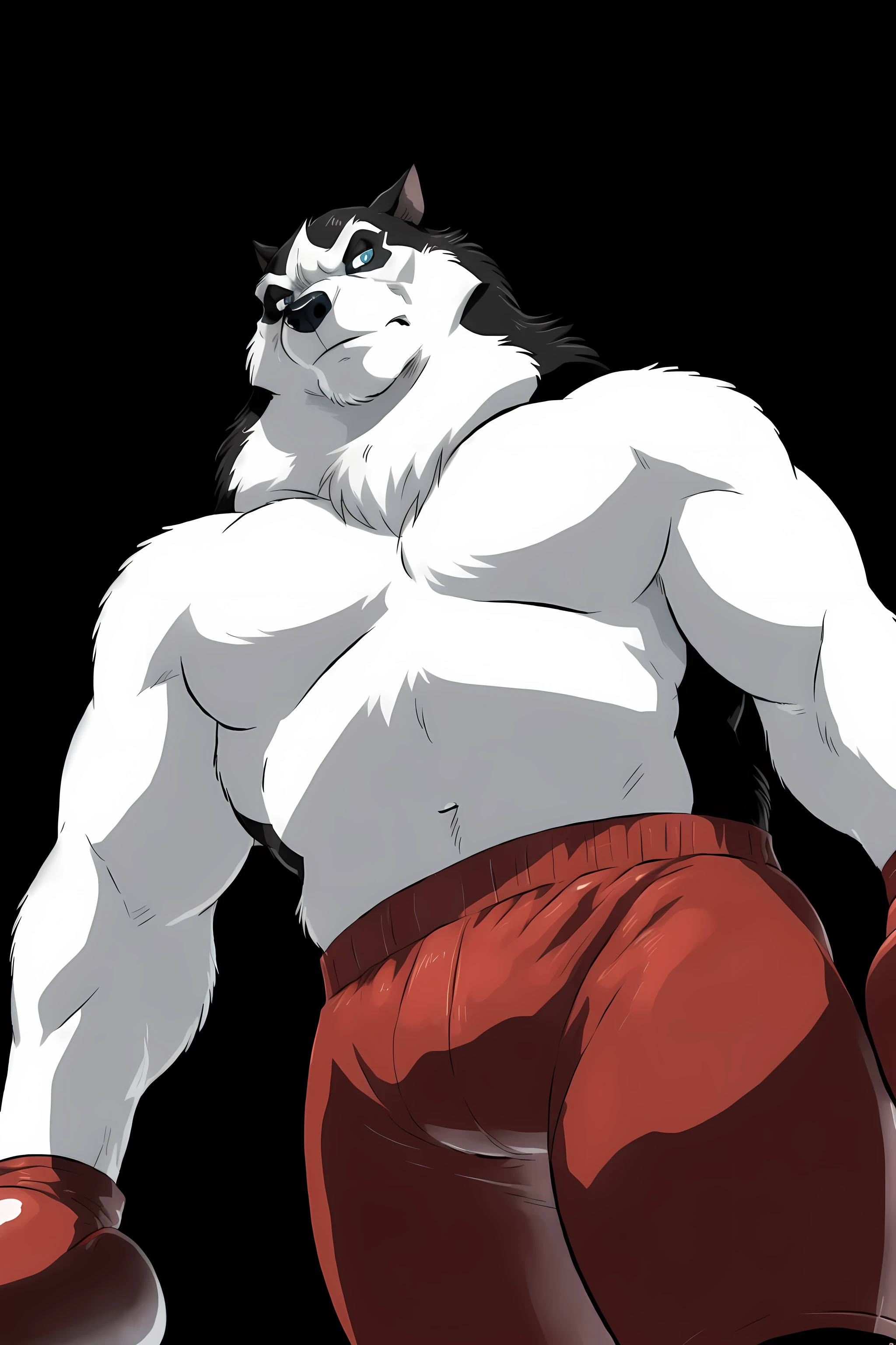 steele (balto), alaskan malamute, detailed, detailed face, ice blue eyes, piercing gaze, stern face, detailed eyes, anthro body, male, adult, heavyweight, very muscular:1.1, cartoon shading, cel shaded:1.0, confident, boxing trunks, (wearing boxing gloves, detailed boxing gloves):1.1, (no background, black background):1.5, bare chest, by wfa, by negger, puffed chest, low-angle shot:1.1