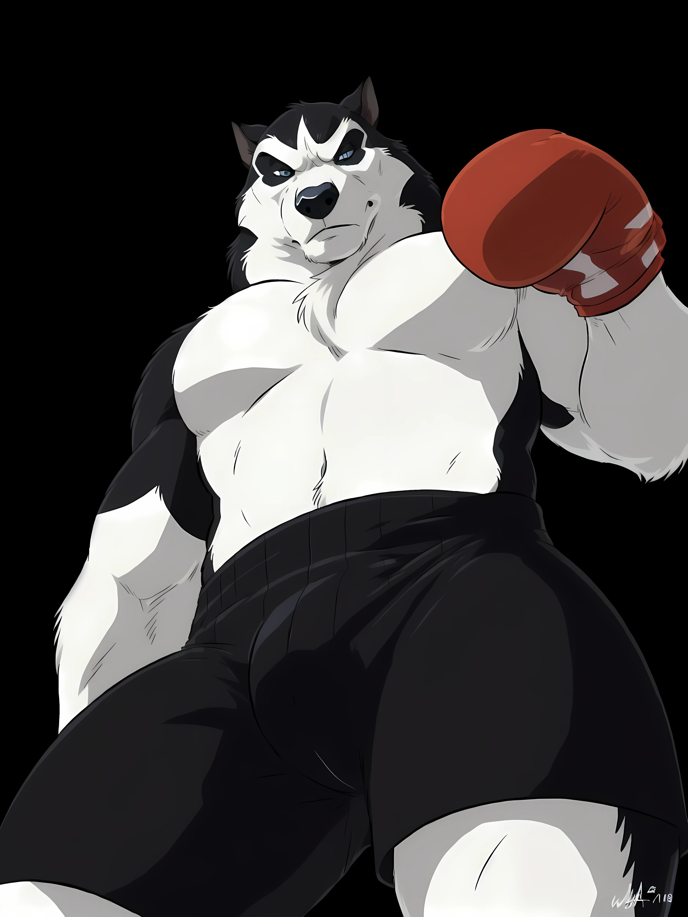 steele (balto), alaskan malamute, detailed, detailed face, ice blue eyes, piercing gaze, stern face, detailed eyes, anthro body, male, adult, heavyweight, very muscular:1.1, cartoon shading, cel shaded:1.0, confident, boxing trunks, (wearing boxing gloves, detailed boxing gloves):1.1, (no background, black background):1.5, bare chest, by wfa, by negger, puffed chest, low-angle shot:1.1