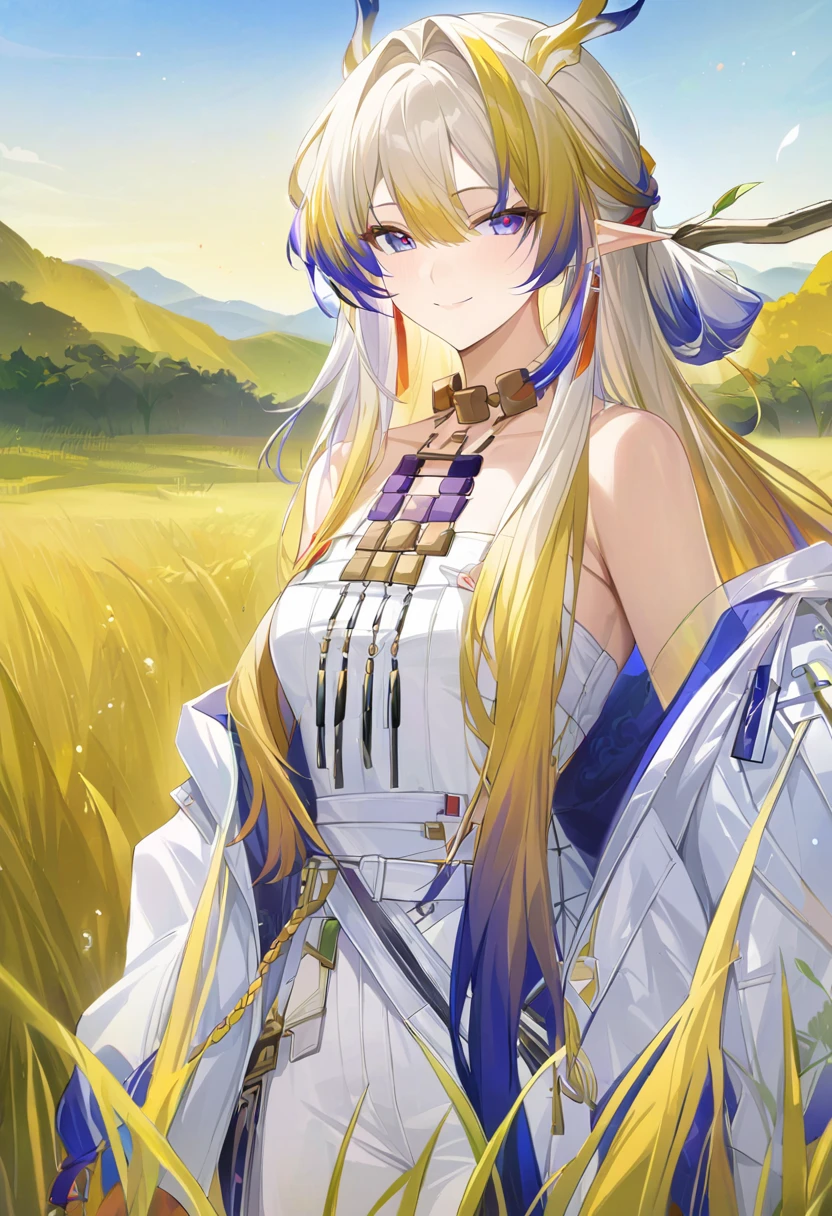 masterpiece, (( best quality)),  high definition , Game CG, grassland_background,  bright , Viewers,  One Woman , ( cowboy shots),  1 girl,Alone, jewelry, bare shoulders,Open clothes, Long Sleeve , bracelets staring at the viewer, white dress ,  white jacket, smile
