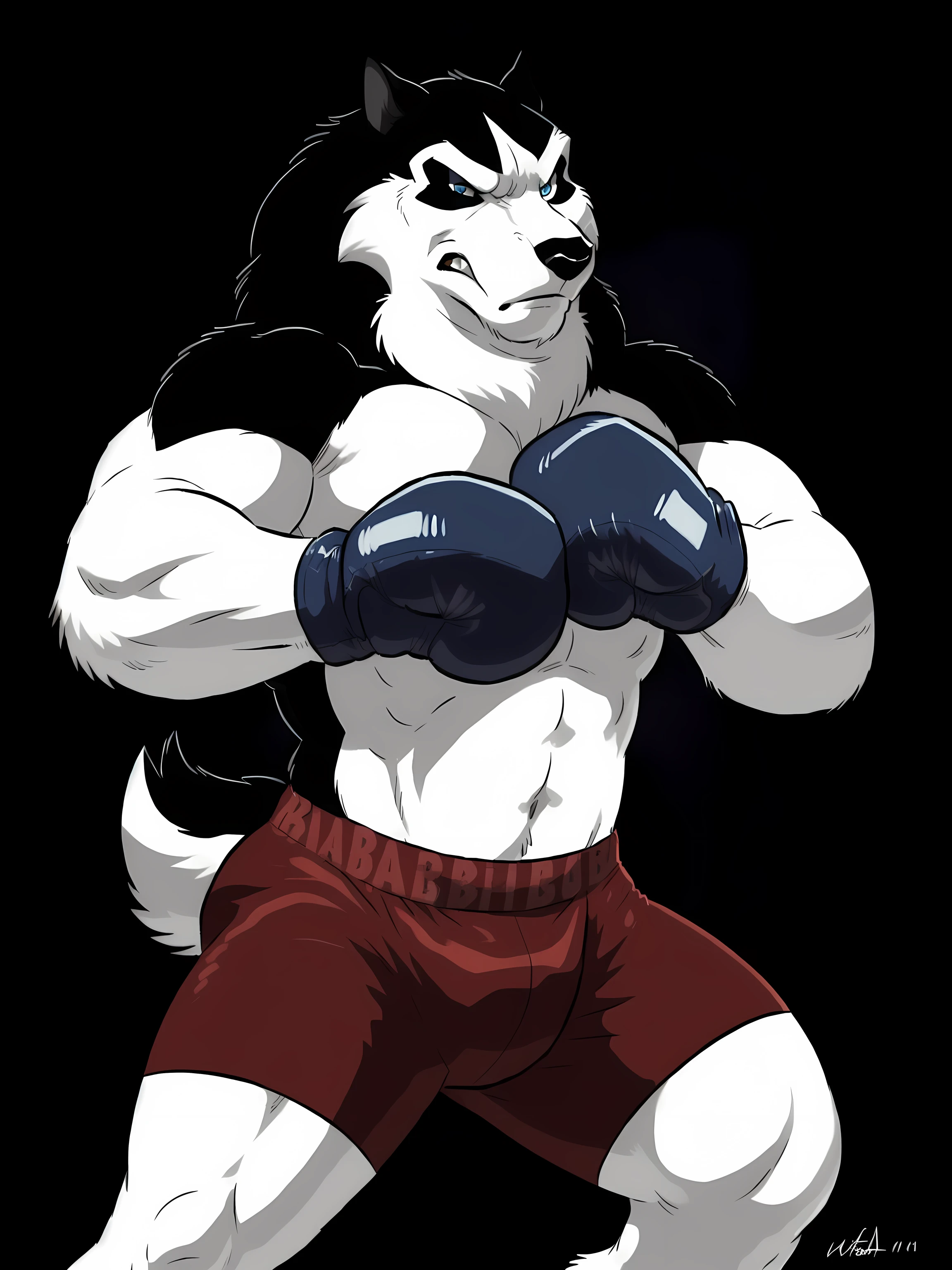 steele (balto), alaskan malamute, detailed, detailed face, ice blue eyes, stern face, detailed eyes, anthro body, male, adult, heavyweight, very muscular:1.1, cartoon shading, cel shaded:1.0, boxing trunks, (wearing boxing gloves, detailed boxing gloves):1.1, (no background, black background):1.5, by wfa, by negger, boxing pose, fighting pose, shirtless