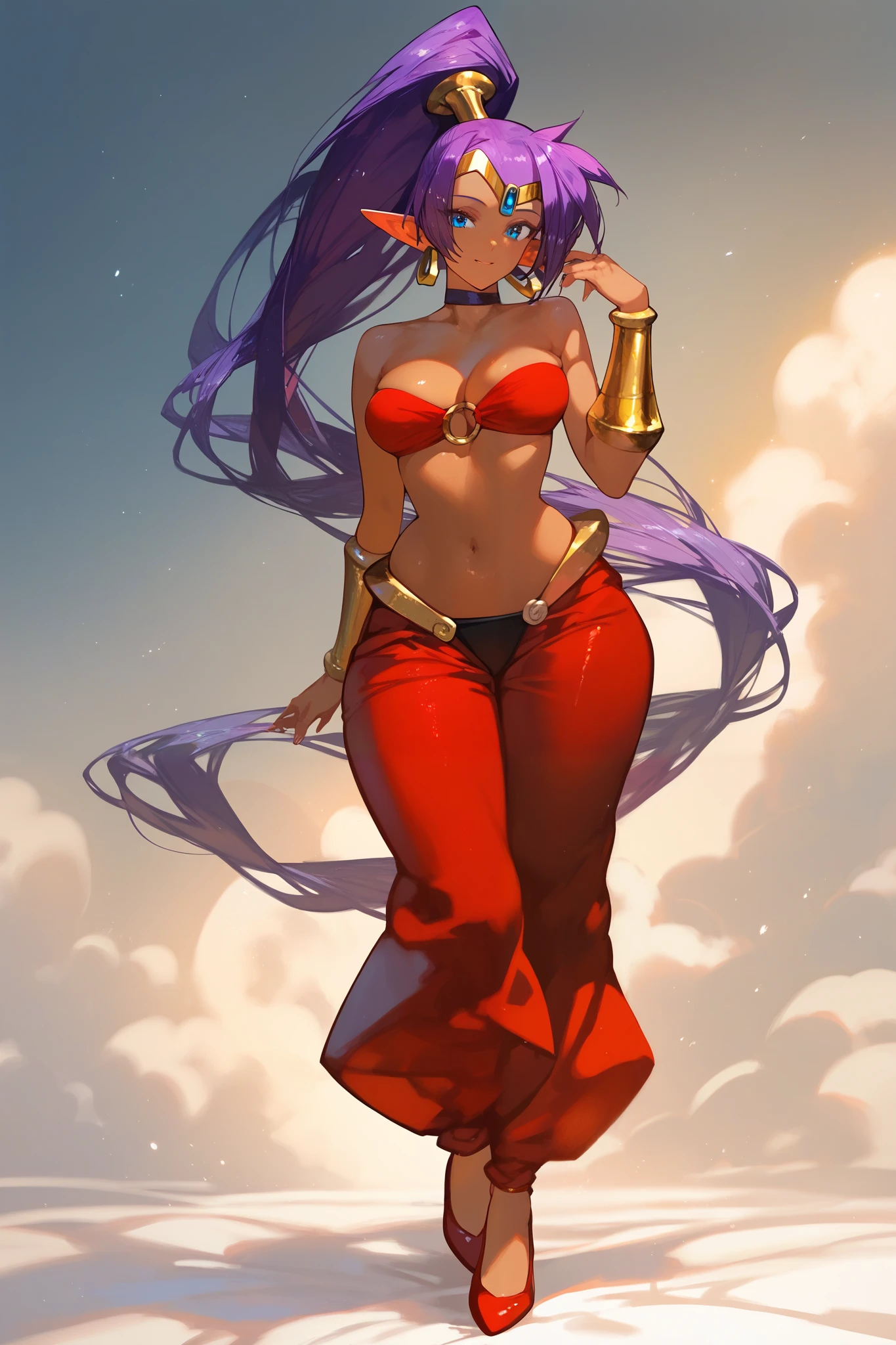 score_9, score_8_up, score_7_up, score_6_up, beautiful aesthetic, very intricate, high quality details, shantae, 1girl, solo, purple hair, dark skin, pointy ears, blue eyes, ponytail, o-ring top, harem pants, bracer, choker, tiara,shoes, wide hips, elegant, perfect 
