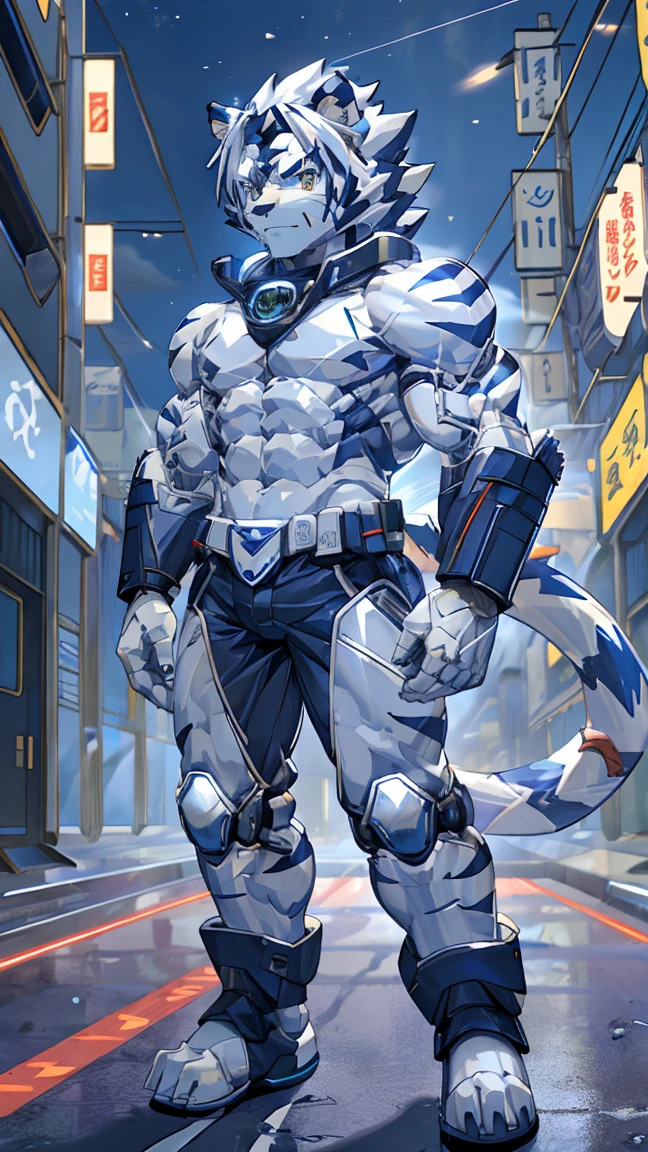 male,  muscular , Synthesizer (Viddesan ), , , Android,  white tiger, silver tiger, 机器Kogenta (Onmyou Taisenki),  white tiger, Silver Kogenta (Onmyou Taisenki), Robo Kogenta (Onmyou Taisenki), Network City,  Future Cities ,  common size 