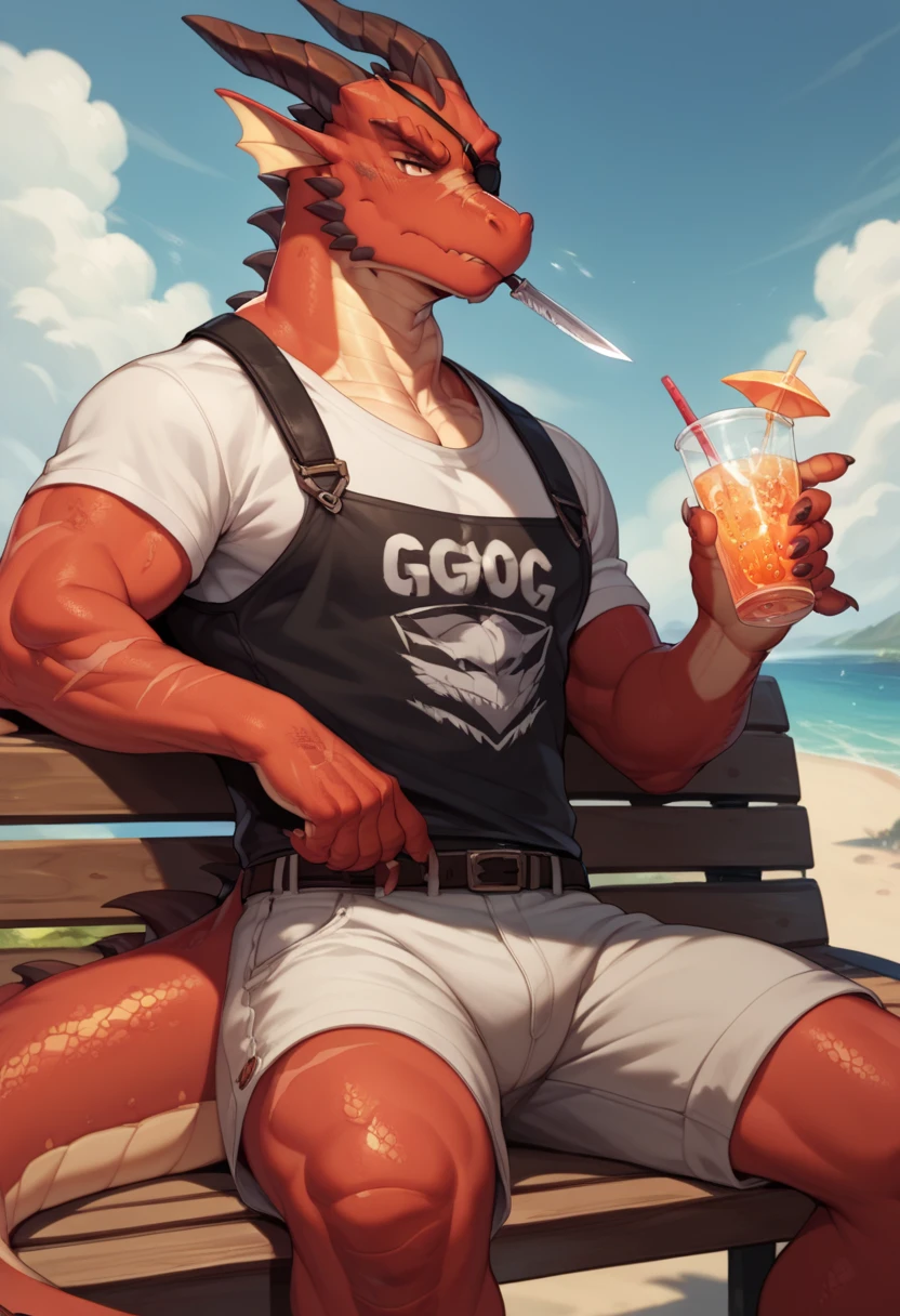 2d,Guy,Dragon Red body,Dragon white with scars,Dragon tail scars,eye patch,serious look on the face,clothes on,knife at hip in a pocket,sitting on bench,at the beach,drink cold drink.