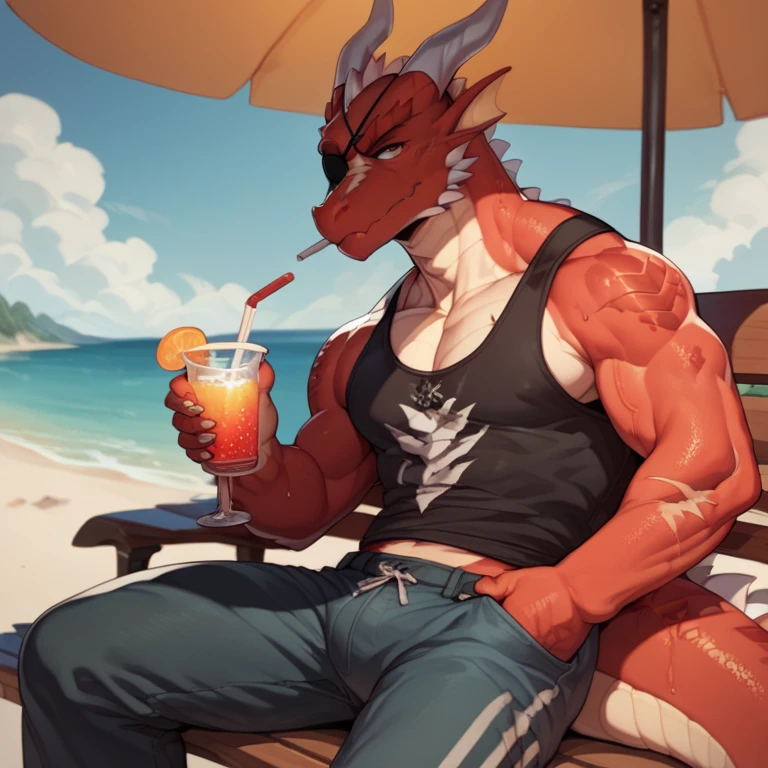 2d,Guy,Dragon Red body,Dragon white with scars,Dragon tail scars,eye patch,serious look on the face,Millitary Clothes,knife at hip in a pocket,sitting on bench,at the beach,drink cold drink.