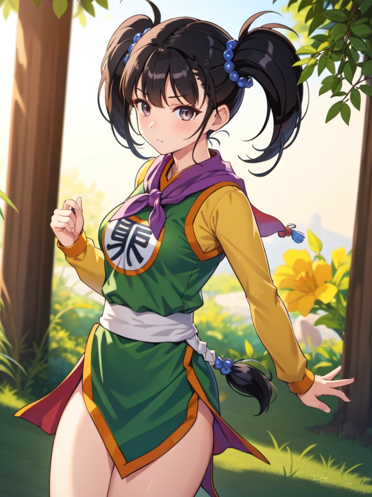 masterpiece,  best quality, 4K, 8k, Fighter (dq3),  1 girl, Alone, Long Hair,  twin tails, fight,Kung Fu,  black hair, Hair accessories,  Long Sleeve ,  dress,  medium breasts,  closed mouth, ,  dark eyes, Chinese clothing, Hair Bobble, 