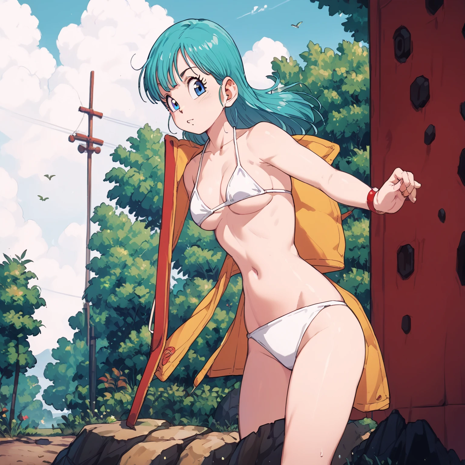 Bulma, wearing a white bikini, stands on the cliff, looking at the distance with a puzzled expression