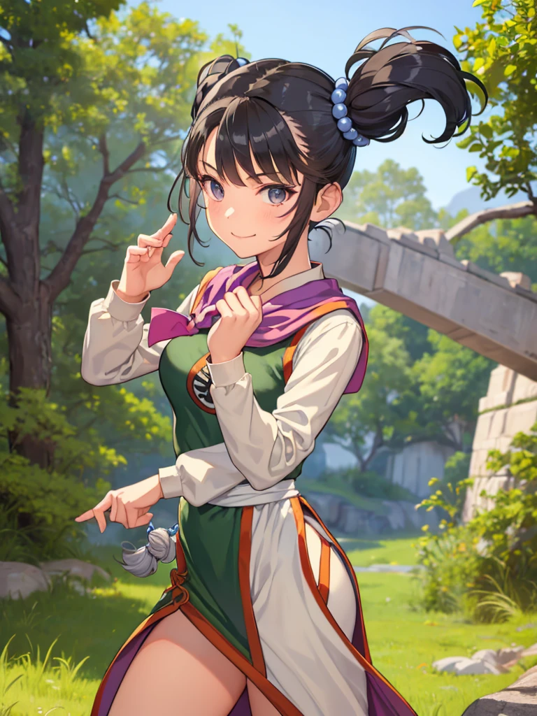 masterpiece,  best quality, 4K, 8k, Fighter (dq3),  1 girl,Cheerful smile, Alone, Gray Hair,  twin tails, bun hair , White Hair, fighting pose,Kung Fu,  black hair, Hair accessories,  Long Sleeve ,  dress,  medium breasts,  closed mouth, ,  dark eyes, Chinese clothing, Hair Bobble, 