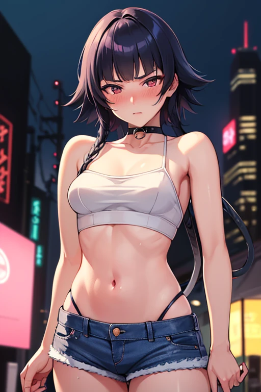 ,masterpiece,  is of the best quality, HD ,  Very detailed,Yutaka variety , Shorthair cat  、 Long hair,  shoulder exposure ,  cropped top below  ,belly button, denim shorts ,Awkward, blush,   Sensual Expressions , night life ,Outdoor, Neon Street ,(prostitution :1.5)