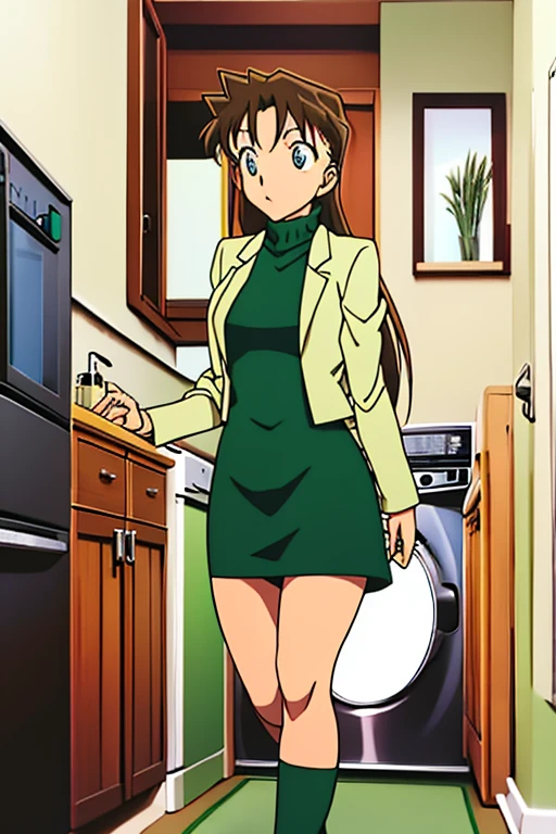 {{{mouri ran}}},{{{Detective Conan}}},{{{long hair}}},{{{official style}}},{{{adult}}},green dress,one-piece dress,turtleneck,green miniskirt, {light green cropped jacket},{light green cropped jacket},green socks,,sink,laundry,kitchen,bringing upper body to the sink,open