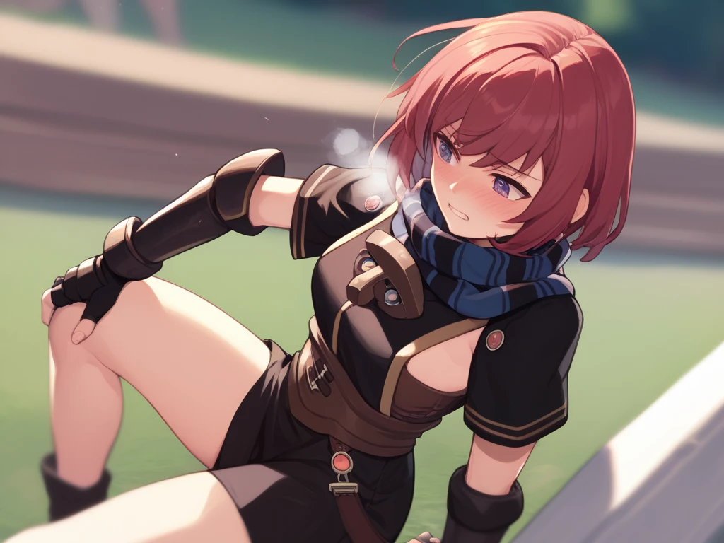  score_9,   score_8_up,  score_7_up nel zelpher,  black dress, Short dress,  striped scarf, Arm guard, Fingerless gloves,  black knee high ,
depth of Field, Field,  blush,  rough breathing