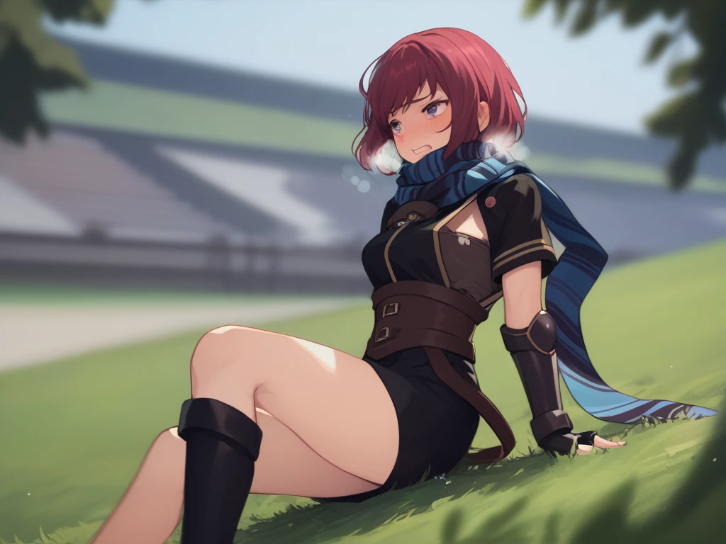  score_9,   score_8_up,  score_7_up nel zelpher,  black dress, Short dress,  striped scarf, Arm guard, Fingerless gloves,  black knee high ,
depth of Field, Field,  blush,  rough breathing