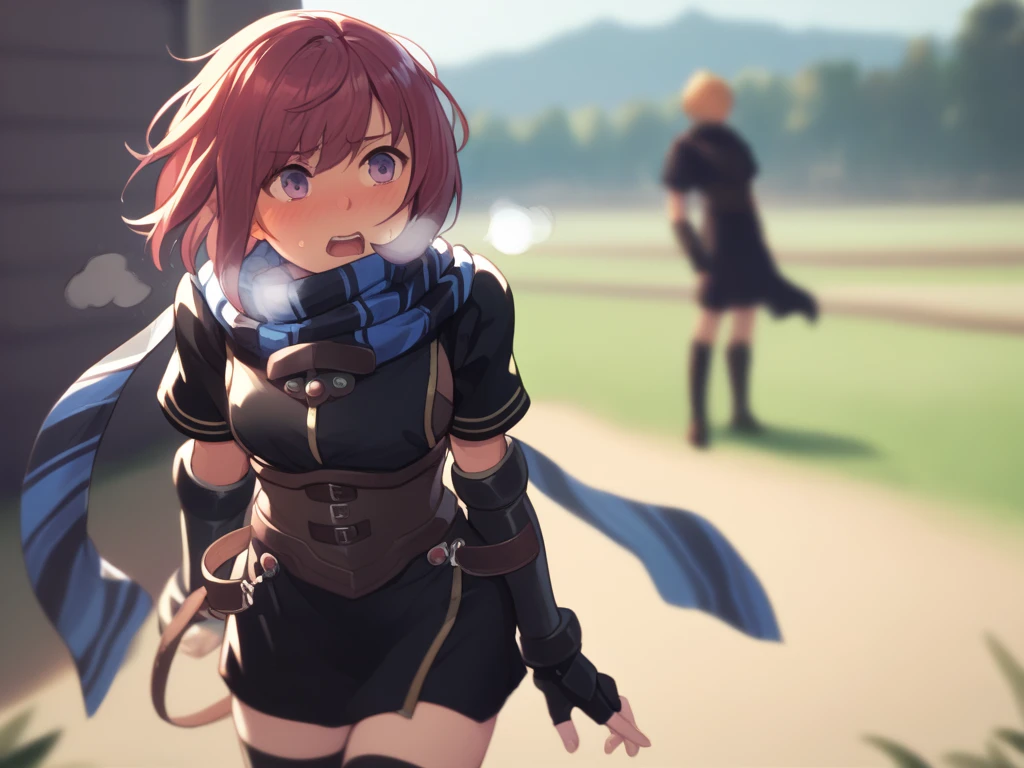  score_9,   score_8_up,  score_7_up nel zelpher,  black dress, Short dress,  striped scarf, Arm guard, Fingerless gloves,  black knee high ,
depth of Field, Field,  blush,  rough breathing