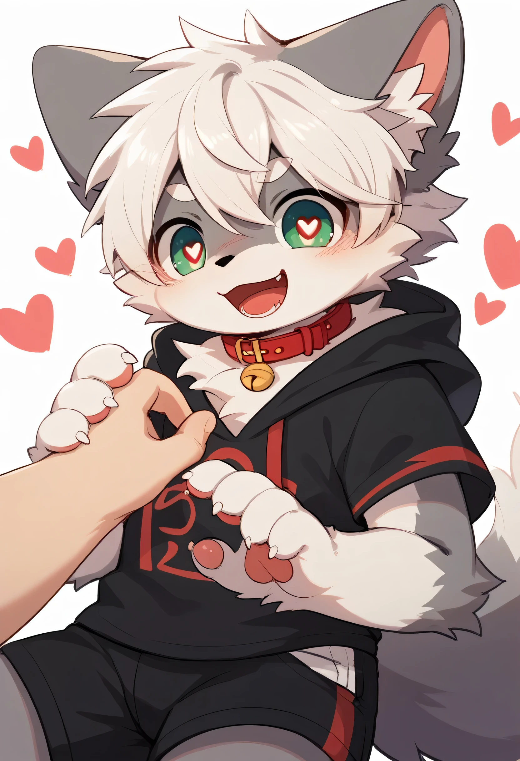  very detailed な, very detailed , white hair with grey fur,Age 15,male, excited to see bones , wolf fur,Excited,participate, cute face, fluffy fur like one,Horny boy,Red collar,cute ears ,Fluffy Ears ,Fluffy Ears ,Show your legs,Show me a paw , holding a red collar and string in his hand, cute fur boy , boy, heart eye,Horny boy , black back ,White background, blush nose ,Alone,Droopy ears, black shorts, black short-sleeved hoodie 