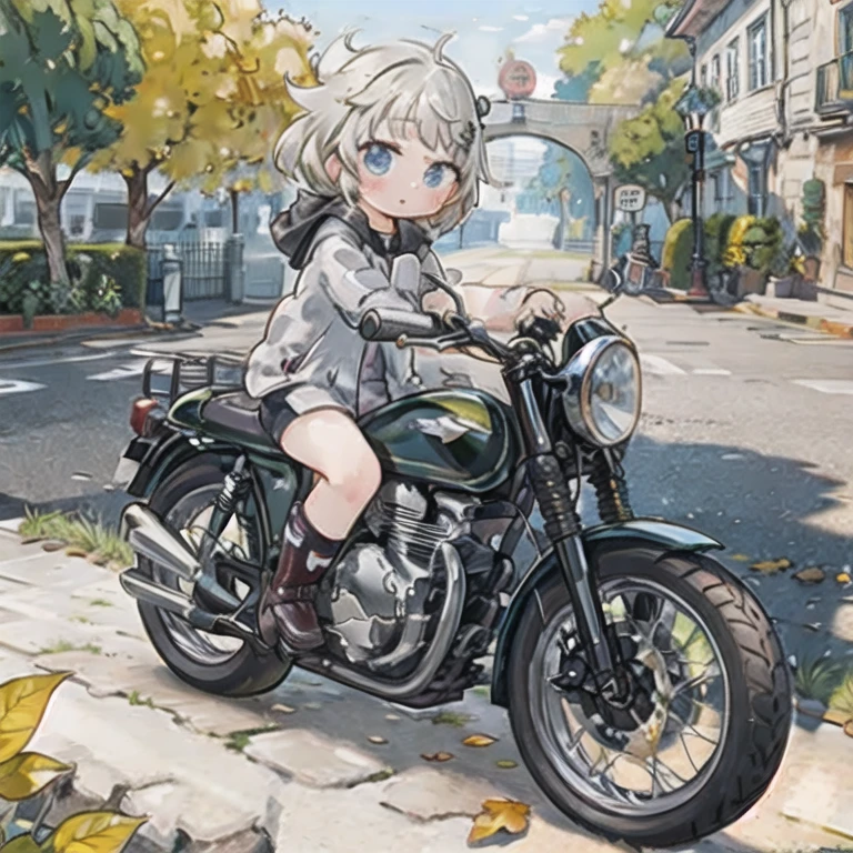 (masterpiece,  best quality:1.2), A young girl rides a small motorcycle, Alone,  fall leaves for vaginal discharge，