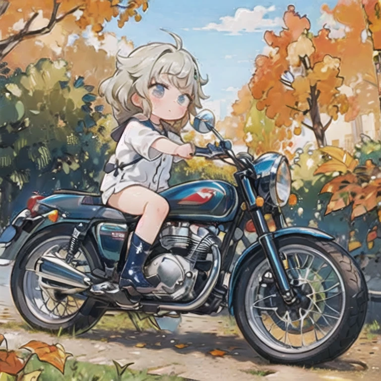 (masterpiece,  best quality:1.2), A young girl rides a small motorcycle, Alone,  fall leaves for vaginal discharge，