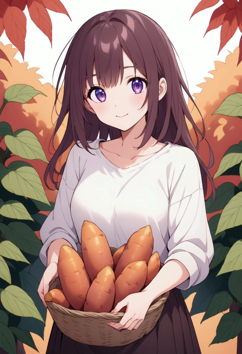 Taste of Autumn、Beautiful girl harvesting sweet potatoes