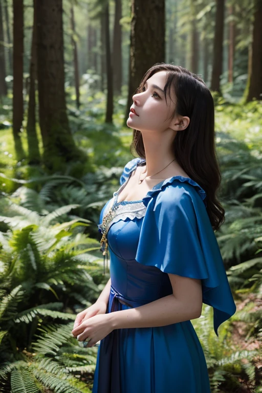 masterpiece, Highest quality, Marianne_Time Skip, Blue clothes, Capelet, Dark alpine forest, Are standing, night, look up, Upper Body, Detailed face
