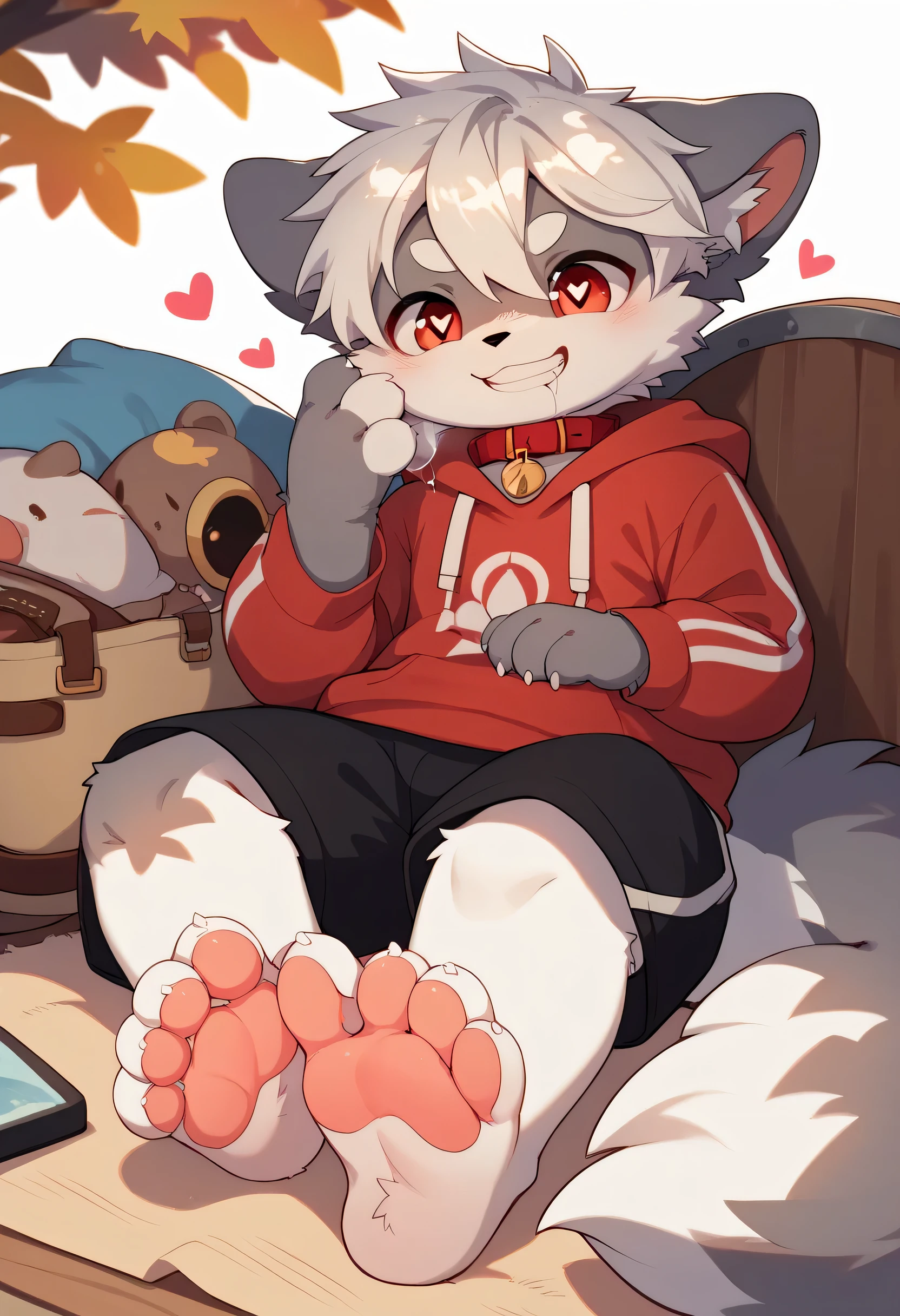  very detailed, very detailed, white hair with grey fur,Age 15,female,Heart Eyes,participate,Red collar, cute face, fluffy fur with a large shield,Horny boy ,White background,Droopy ears, blush nose ,Up in the tree,smile,Lick the soles of the feet ,grin,Show me paws, show the soles of the feet,sit,Red collar鳴き声,sleep,Estrus season,excited,Fur Boy, an uneasy face,brainwashing, drool , black shorts, sweatshirt , Long Sleeve ,Trendy,