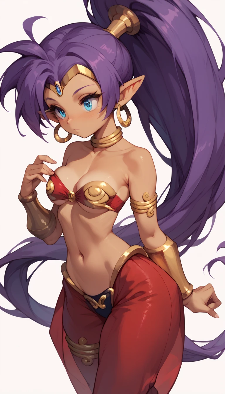 defShan, pointy ears, very long hair, purple hair, ponytail, tan skin, circlet, hoop earrings, bare shoulders, red bandeau, red harem pants, gold bracers, slave, slave bikini