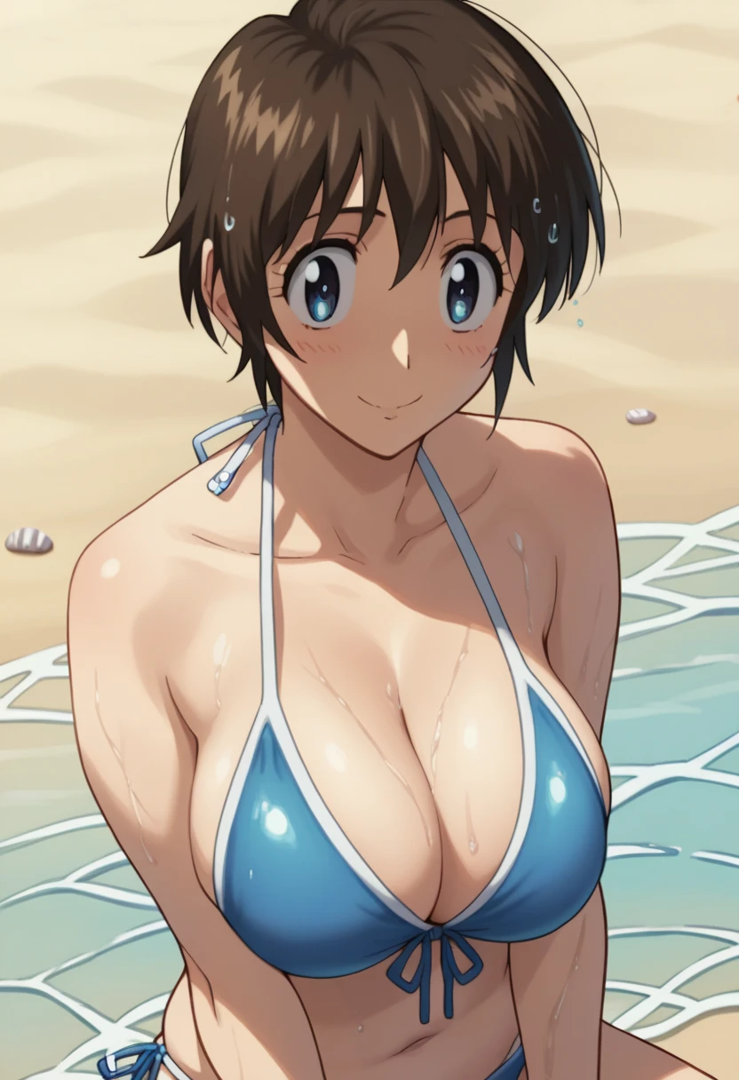 Shimizu_Kaoru 清水 Kaoru Major S5 OVA
Clip Skip: 2

default: 1 girl,Shimizu_Kaoru, Shorthair, brown hair, blue eyes, Big Breasts

メジャー ,  but 、 The images are much harder to find than I thought.

Big Breasts 　Beach　bikini　smile　bikini紐の結び目に手をかける　 wet 