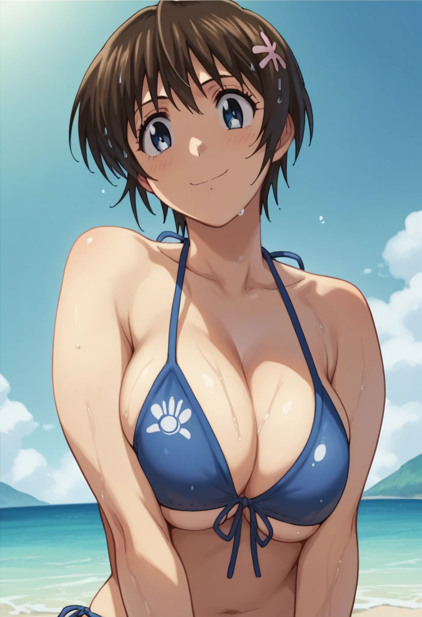 Shimizu_Kaoru 清水 Kaoru Major S5 OVA
Clip Skip: 2

default: 1 girl,Shimizu_Kaoru, Shorthair, brown hair, blue eyes, Big Breasts

メジャー ,  but 、 The images are much harder to find than I thought.

Big Breasts 　Beach　bikini　smile　bikini紐の結び目に手をかける　 wet 