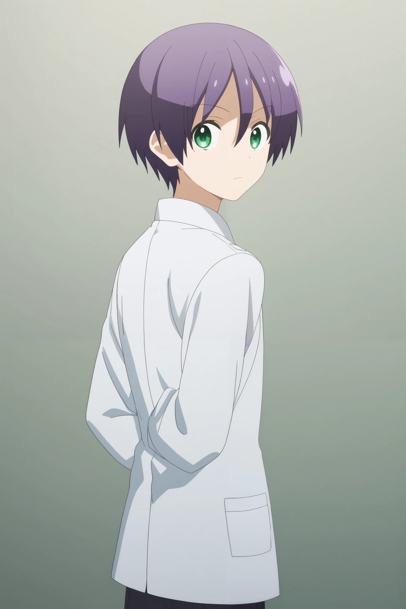 score_9, score_8_up, score_7_up, source_anime, rating_safe, intricate details, anime screencap, , official style, looking at viewer, , 1boy, solo, male focus, nasa_yuzaki, purple hair, green eyes, short hair, hair between eyes, wide angle, wide shot, full body, fuji mountain, light, arms behind back, squinting, lab coat, 