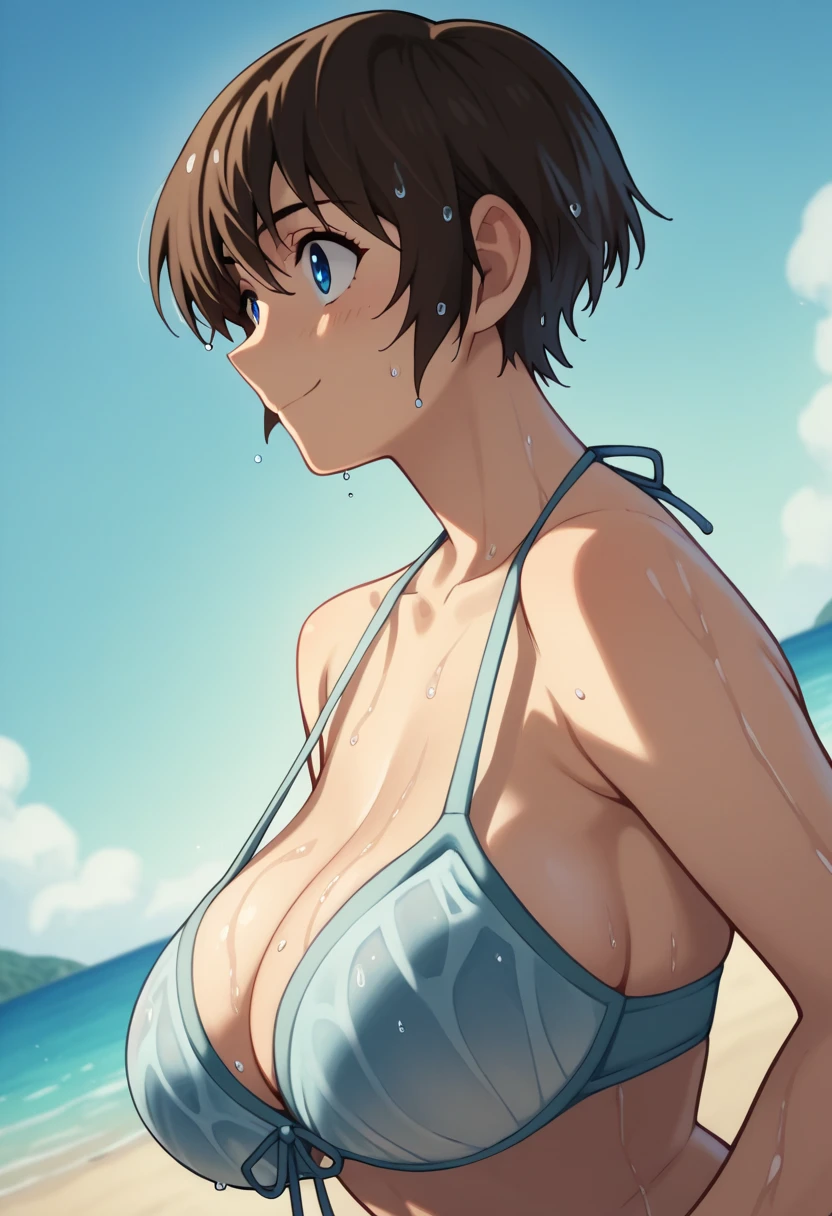 Shimizu_Kaoru 清水 Kaoru Major S5 OVA
Clip Skip: 2

default: 1 girl,Shimizu_Kaoru, Shorthair, brown hair, blue eyes, Big Breasts

メジャー ,  but 、 The images are much harder to find than I thought.

Big Breasts 　Beach　bikini　smile　 Dutch Angle　 bust up　 side view　nsfw.
　 wet .　Bras fall out of place