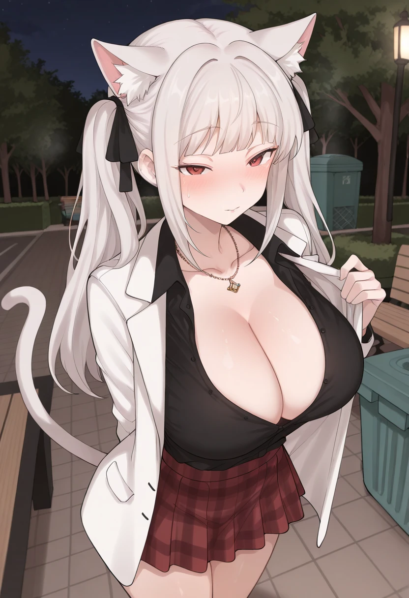 (masterpiece, best quality:1.2), TerasuMC, 1girl, solo, breasts, animal ears, silver hair, cat ears, cat tail, black shirt, collared shirt, (tie:0.9), necklace, open shirt, white jacket, Kilt skirt, thicc thighs, blush, long hair, twintails, hair ribbon, cat girl, red eyes, animal ear fluff, bangs, cleavage, large breasts, standing, park, tree, bench, night sky, trash box, (ultra-detailed), very aesthetic, newest, safe, amazing quality, very aesthetic, absurdres, newest, scenery, 