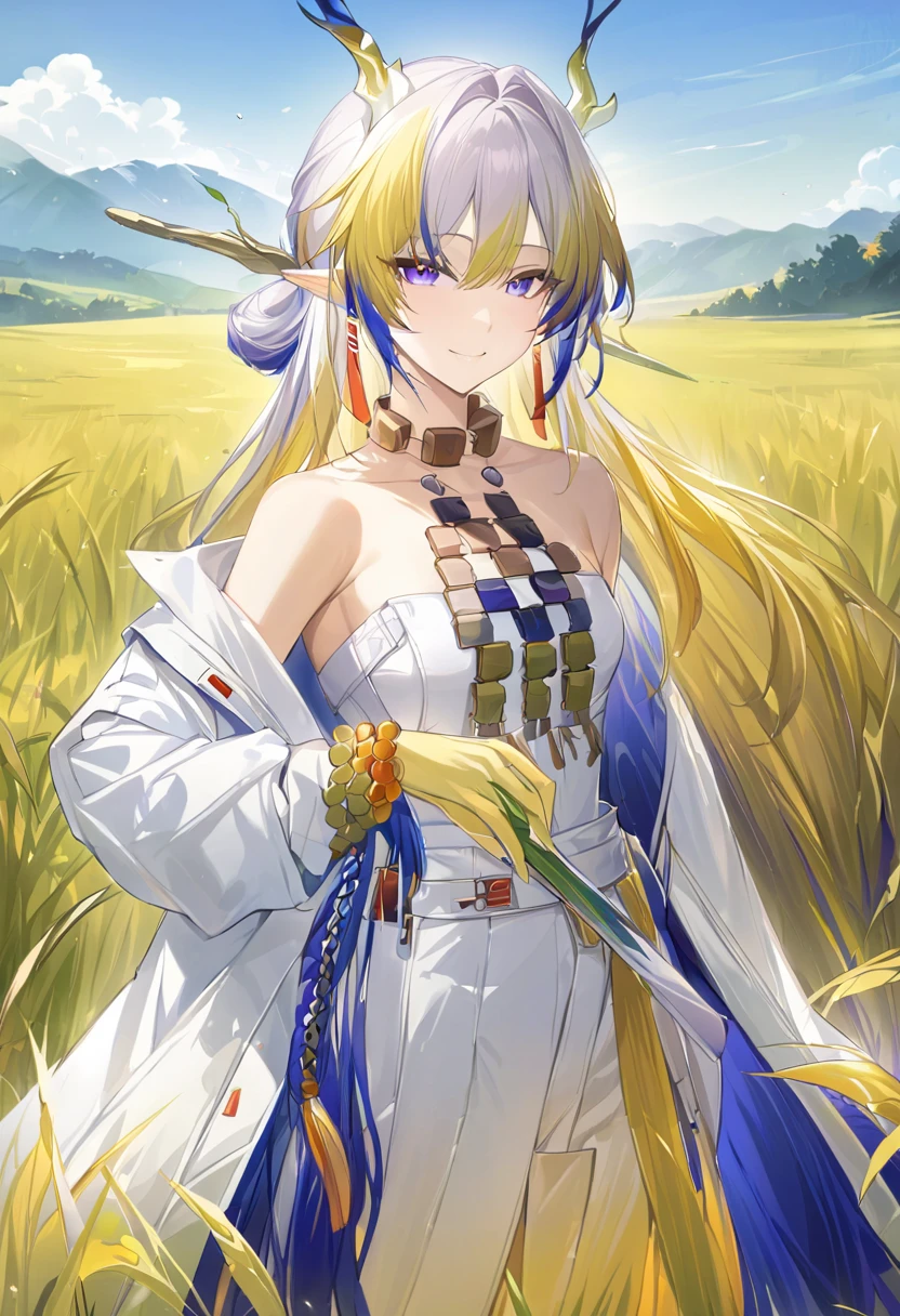 masterpiece, (( best quality)),  high definition , Game CG, grassland_background,  bright , Viewers,  one woman, ( cowboy shot),  1 girl,Alone, jewelry, bare shoulders,Open clothes, Long Sleeve , bracelets staring at the viewer, white dress,  white jacket , smile
