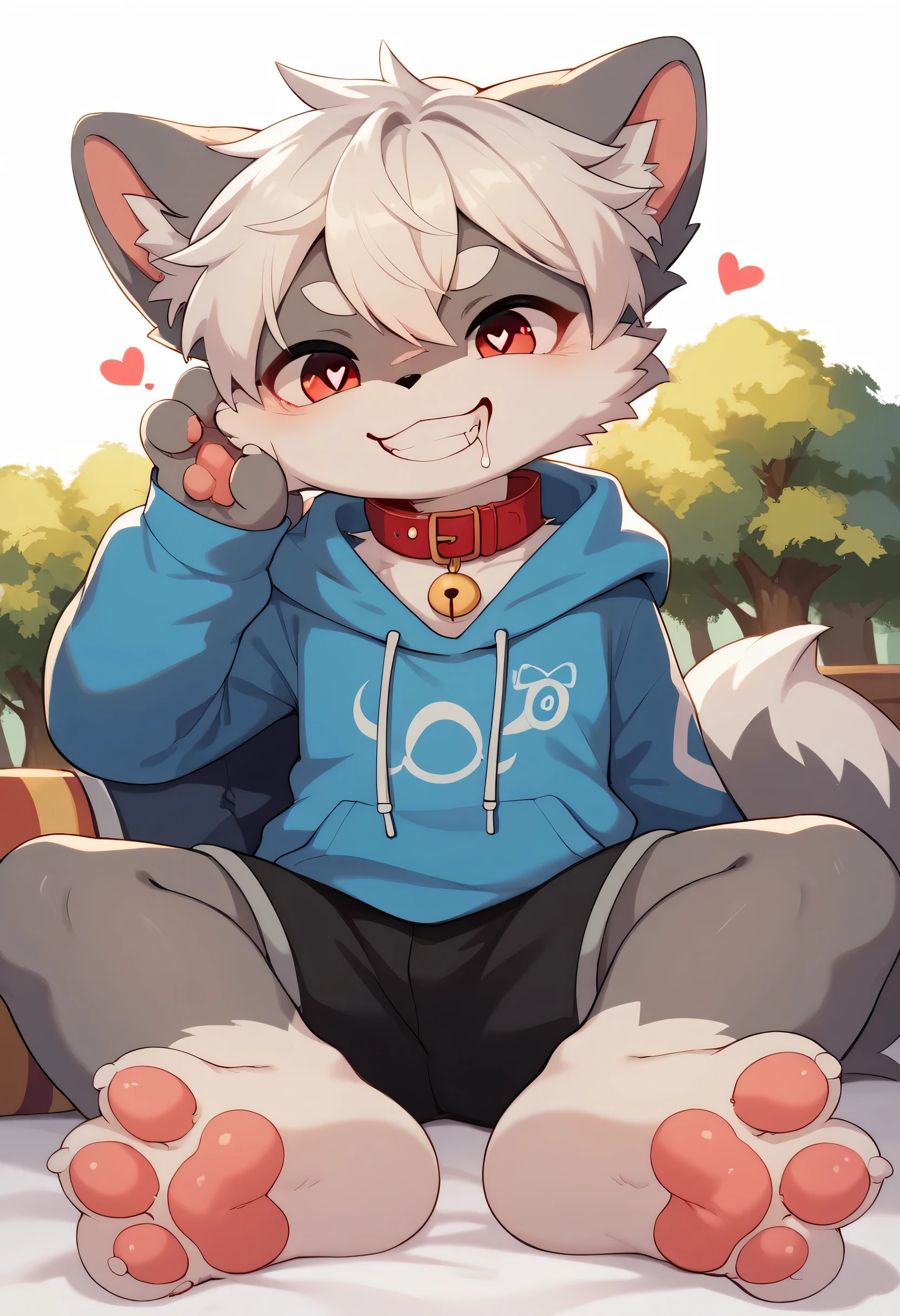  very detailed, very detailed, white hair with grey fur,Age 15,female,Heart Eyes,participate,Red collar, cute face, fluffy fur with a large shield,Horny boy ,White background,Droopy ears, blush nose ,Up in the tree,smile,Lick the soles of the feet ,grin,Show me paws, show the soles of the feet,sit,Red collar鳴き声,sleep,Estrus season,excited,Fur Boy, an uneasy face,brainwashing, drool , Black Shorts , sweatshirt , Long Sleeve ,Light blue trendy ,