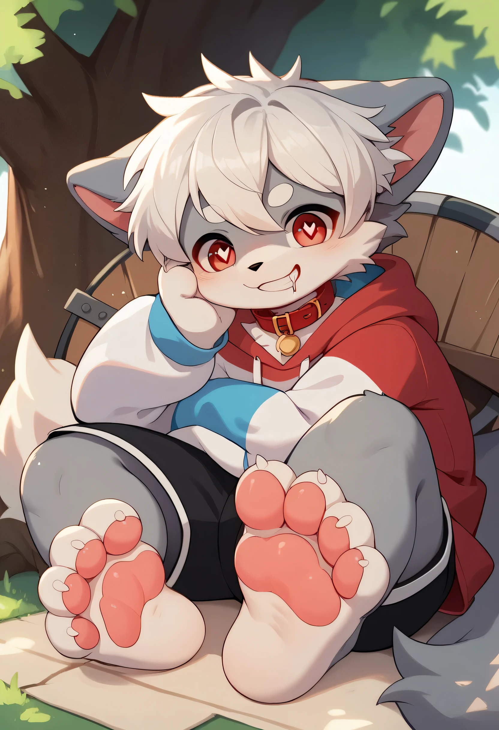  very detailed, very detailed, white hair with grey fur,Age 15,female,Heart Eyes,participate,Red collar, cute face, fluffy fur with a large shield,Horny boy ,White background,Droopy ears, blush nose ,Up in the tree,smile,Lick the soles of the feet ,grin,Show me paws, show the soles of the feet,sit,Red collar鳴き声,sleep,Estrus season,excited,Fur Boy, an uneasy face,brainwashing, drool , Black Shorts , sweatshirt , Long Sleeve ,Light blue trendy ,