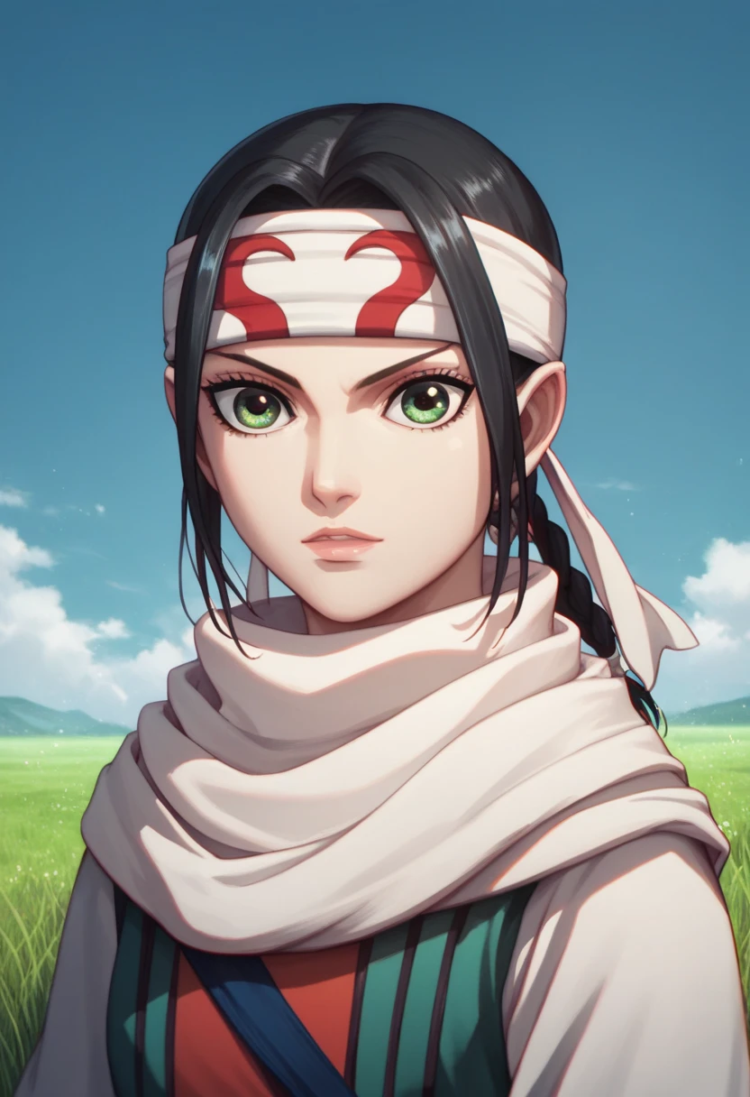 masterpiece, best quality,
1girl, kyoukai, black hair, braid, ponytail, green eyes,  headband, scarf,
upper body, solo, looking at viewer, grass, blue sky, meadow background   easynegative, ng_deepnegative_