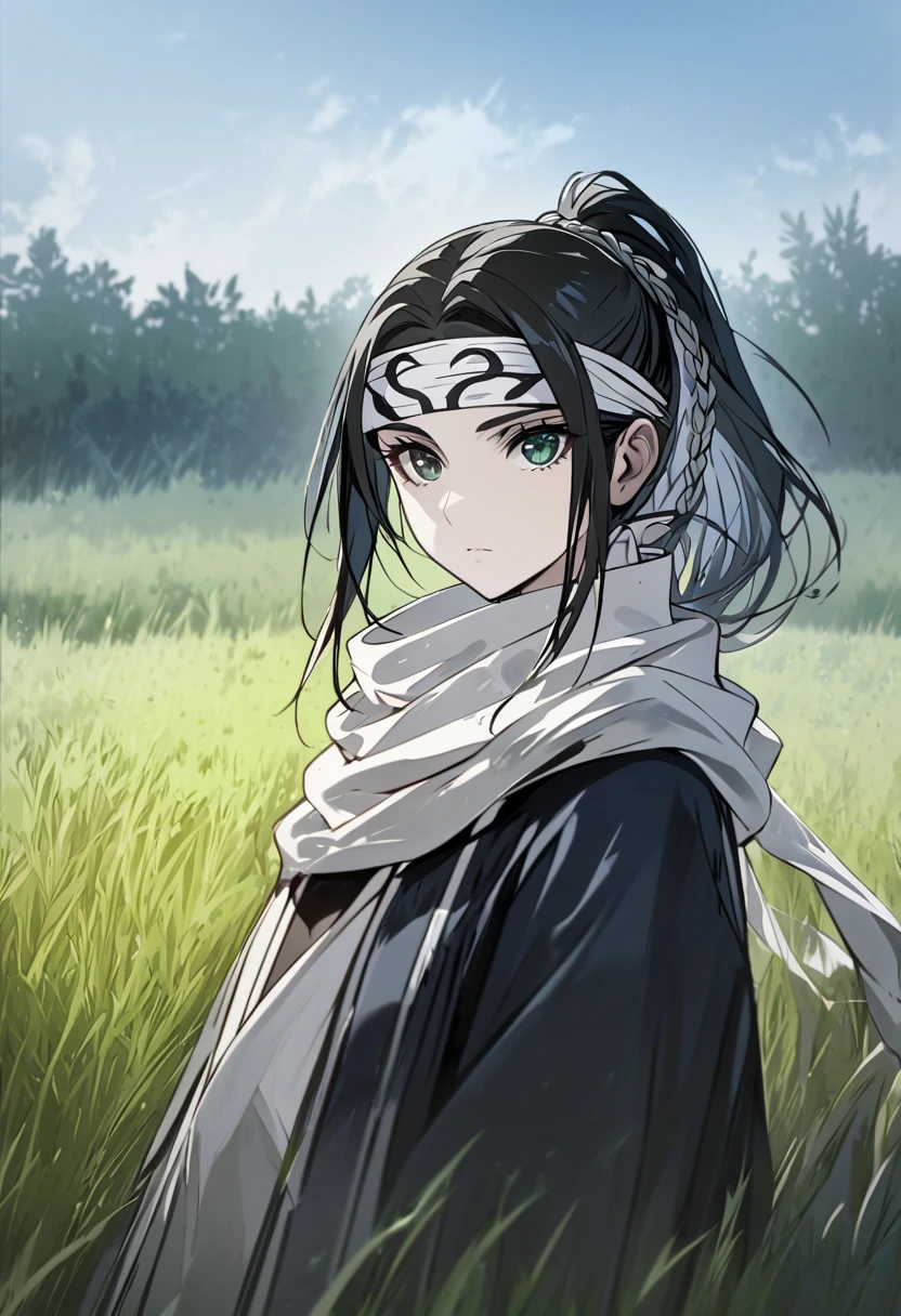 masterpiece, best quality,
1girl, kyoukai, black hair, braid, ponytail, green eyes,  headband, scarf,
upper body, solo, looking at viewer, grass, blue sky, meadow background   easynegative, ng_deepnegative_v1_75t
