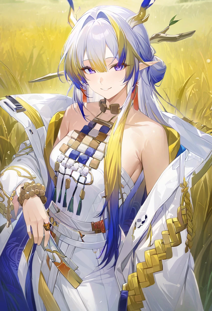 masterpiece, (( best quality)),  high definition , Game CG, grassland_background,  bright , Viewers,  one woman, ( cowboy shot),  1 girl,Alone, jewelry, bare shoulders,Open clothes, Long Sleeve , bracelets staring at the viewer, white dress,  white jacket , smile
