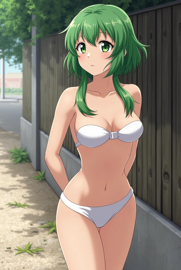 a sexy woman, (best quality), (masterpiece), (1girl), slim, anime, tall, (front view ), (green eyes), (flat chested), (see through), (pubic hair)