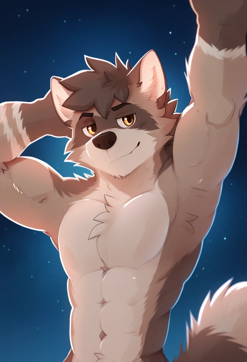 ( Great Quality ), lobo, beige fur,  short hair, 2 arms, cuerpo completo,  looking at the screen , ((Starry Background)), ((posing)), ((Chest up approach )), wolf tail, por pache riggs