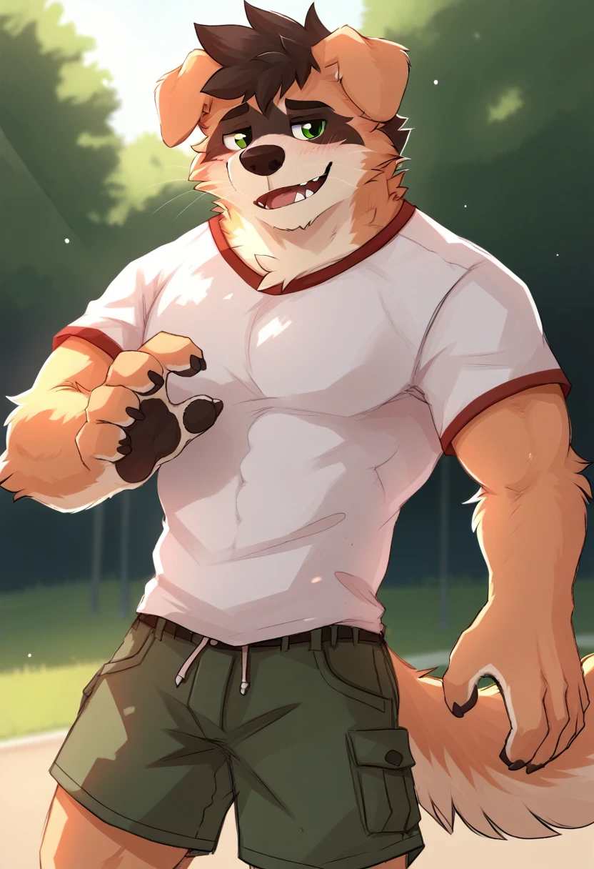  green eyes, alone, dog, Drooping ears, muscular male , five fingers, detailed hands, ( Whole body), alone, blush,  short hair ,  male focus , fangs,  bare pecs, sexy, shorts and shirt, in the park, por pache riggs