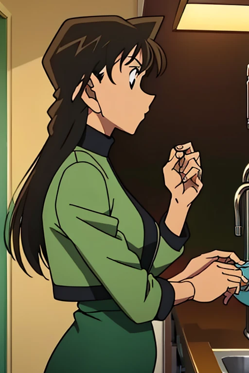{{{mouri ran}}},{{{Detective Conan}}},{{{long hair}}},{{{official style ...