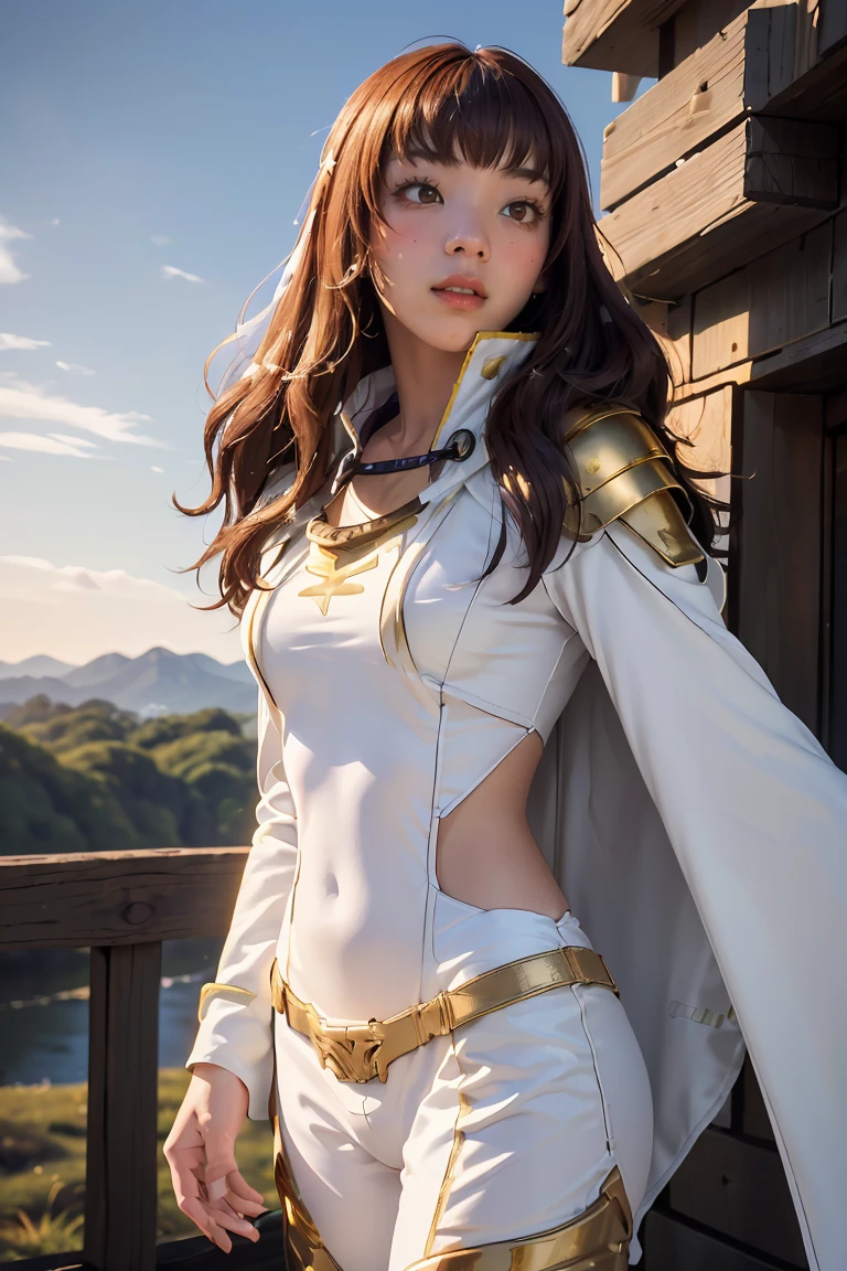 ((masterpiece, best quality, extremely detailed), volumetric lighting, ambient occlusion, colorful, glowing), 1girl, solo, young girl, (dark hair), long hair, ranger suit, hunter class dnd, cloak, (white outfit with gold detailst:1.3), armor, outdoors, sunset, sky, clouds, space, (fantasy theme:1.2),