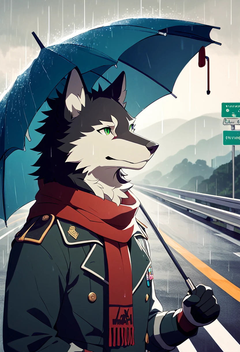 umbrella,highway,solo,scarf,simple background,black fur,white fur,GREEN EYES,WOLF,FURRY,ANTHRO,Hash,AIR,Rouon Aro,raining