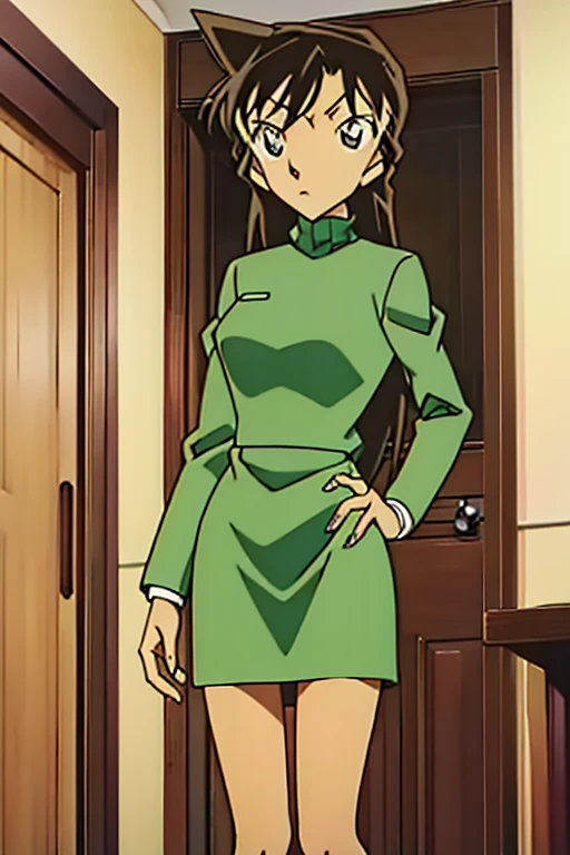 {{{mouri ran}}},{{{Detective Conan}}},{{{long hair}}},{{{official style}}},{{{adult}}},green dress,one-piece dress,one-piece dress,turtleneck,green mini skirt, {light green cropped mini jacket},green socks,loafers,wash basin,laundry,kitchen