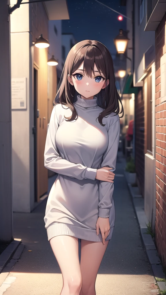 masterpiece, best quality, highres, girl, solo, looking at viewer, sweater dress, long sleeves, turtleneck, outdoors, street, standing, cowboy shot, night ,