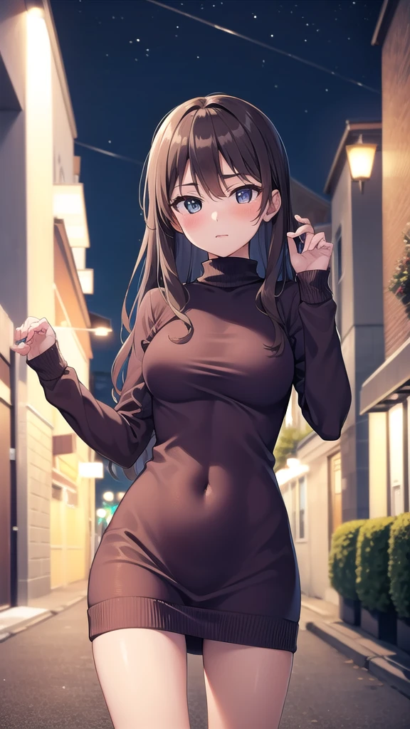 masterpiece, best quality, highres, girl, solo, looking at viewer, sweater dress, long sleeves, turtleneck, outdoors, street, standing, cowboy shot, night ,