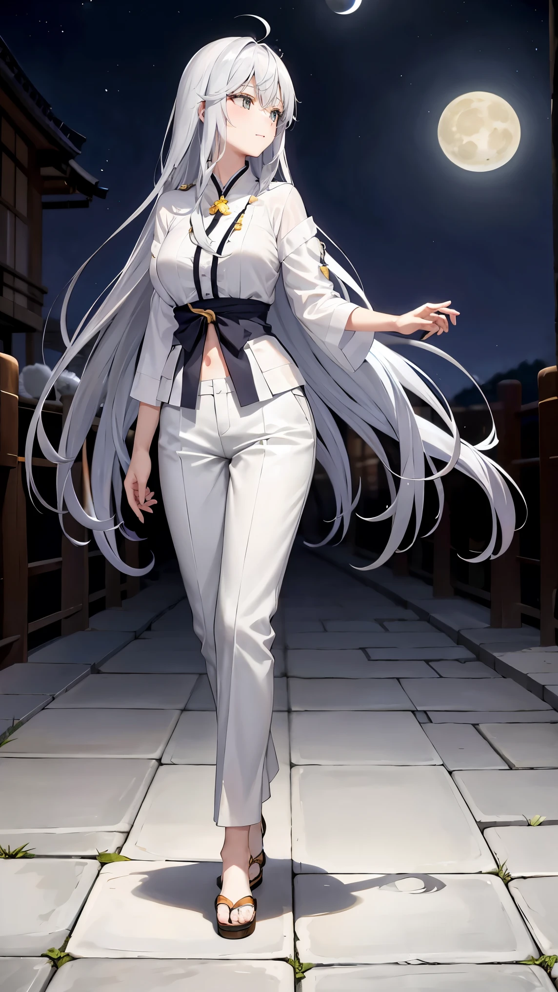  long silver hair 、  tension as the inner color for long hair, yellow eyes , Moonlight、 moonlight、、、, full body composition from head to toe、Chuckle、Older sister、Sexy Fashion、blouse、Belly button exposed、Tapered trousers、Night Beauty、A fearless face、Yamato Nadeshiko、Karate Kata、A dignified woman、 slender、 body line、Japanese beauty、Looking up at the moon、profile