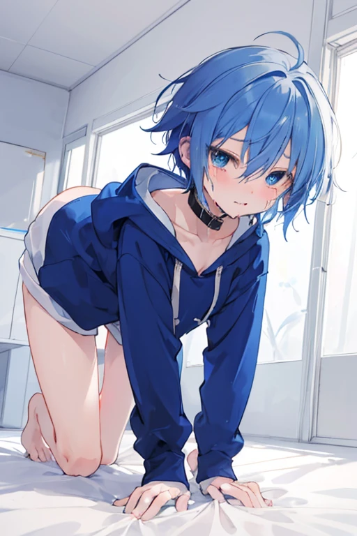 Black and blue hair，Beautiful women，white  panties，being thin，spread their legs，Seated，JK clothing，revealing her belly，Be red in the face，cat ear，In the toilet，Wear a collar，Unhappy，Hands behind your back，Tie the legs with a rope，White liquid flows out of panties，Covered in liquid，Wear a collar，Pee