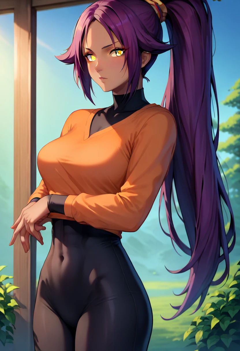 
yoruichishihouin, yoruichi shihouin, long hair, (yellow eyes:1.5), ponytail, purple hair, dark skin, dark-skinned female, BREAK bodysuit, black bodysuit, bodysuit under clothes, (orange shirt:1.5), long sleeves, BREAK outdoors, BREAK looking at viewer, (cowboy shot:1.5), BREAK (masterpiece:1.2), best quality, high resolution, unity 8k wallpaper, (illustration:0.8), (beautiful detailed eyes:1.6), extremely detailed face, perfect lighting, extremely detailed CG, (perfect hands, perfect anatomy),