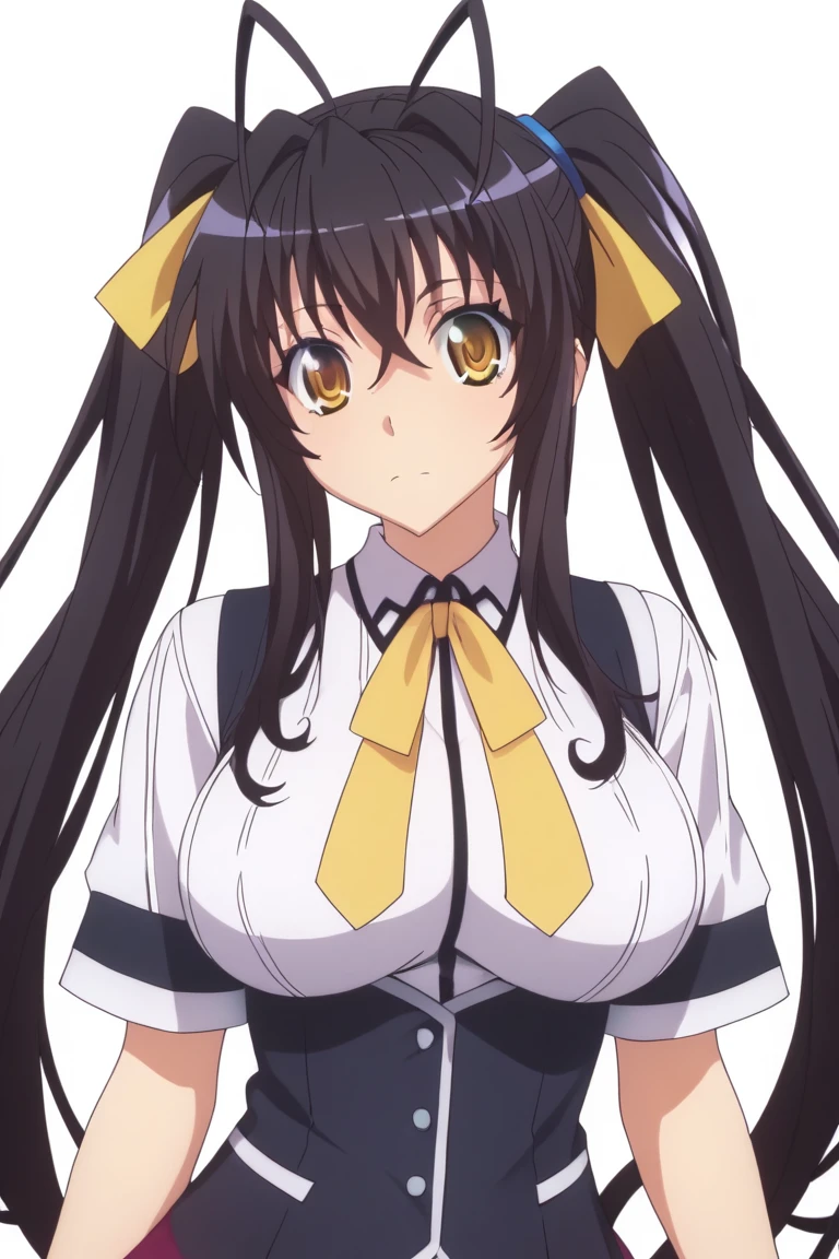 nsfw,best quality, masterpiece, highres, score_9, score_8_up, score_7_up, source_anime,high school dxd,nurakami,dark brown hair, long hair, ((twin tails)),yellow ribbon, yellow eyes, ****,big breasts,,white background, 