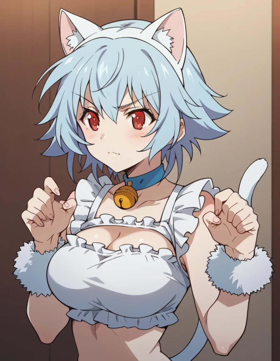 Tatehana Sarashiki ,  Short Hair ,  blue hair, red eyes,
Cat Cosplay　White cat tail　Big Breasts