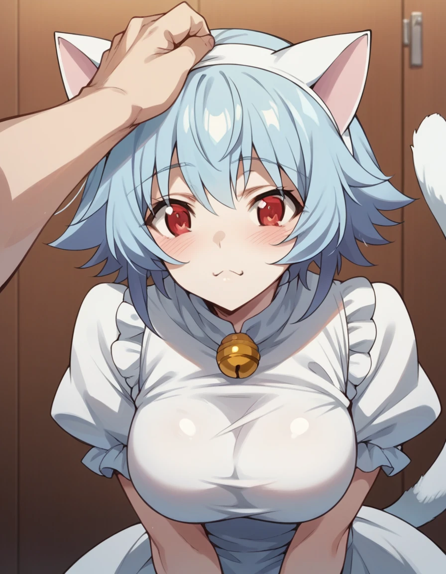 Tatehana Sarashiki ,  Short Hair ,  blue hair, red eyes,
Cat Cosplay　White cat tail　Big Breasts　Cat Petting Pose 　 Cosplay Venue