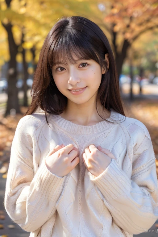 (masterpiece, best quality, perfect anatomy, highres, 8k, realistic, photorealistic, natural skin texture, no makeup:1.2), 1girl, solo, Japanese, age20, jp idol, shy smile, (very cute:1.3), large breasts, perfect figure, (oversized plain sweater:1.2), at autumn park, portrait